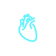 Dispositivo portátil portátil de ultrassom aplicação cardíaca